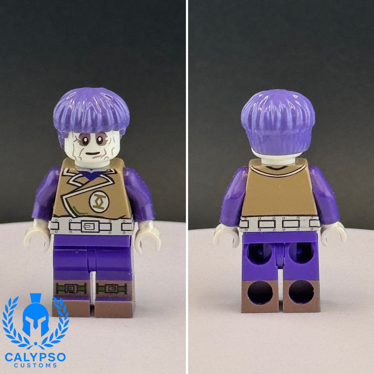 パーツ Calypso2 Calypso Customs Greenzarro Custom UV Printed PCC Series Miniature