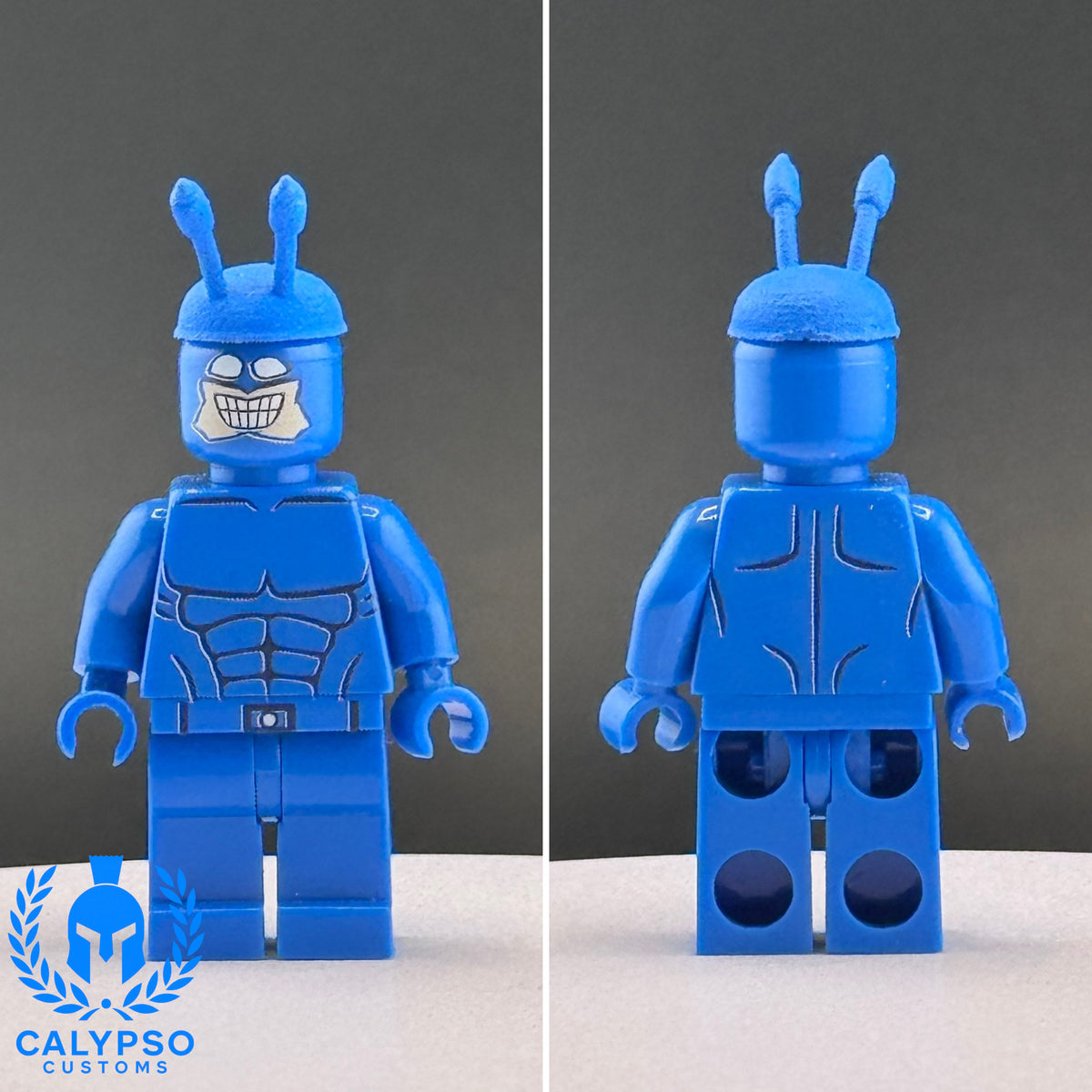 リコです。 Calypso Customs The Tick Custom UV Printed PCC Series Miniature