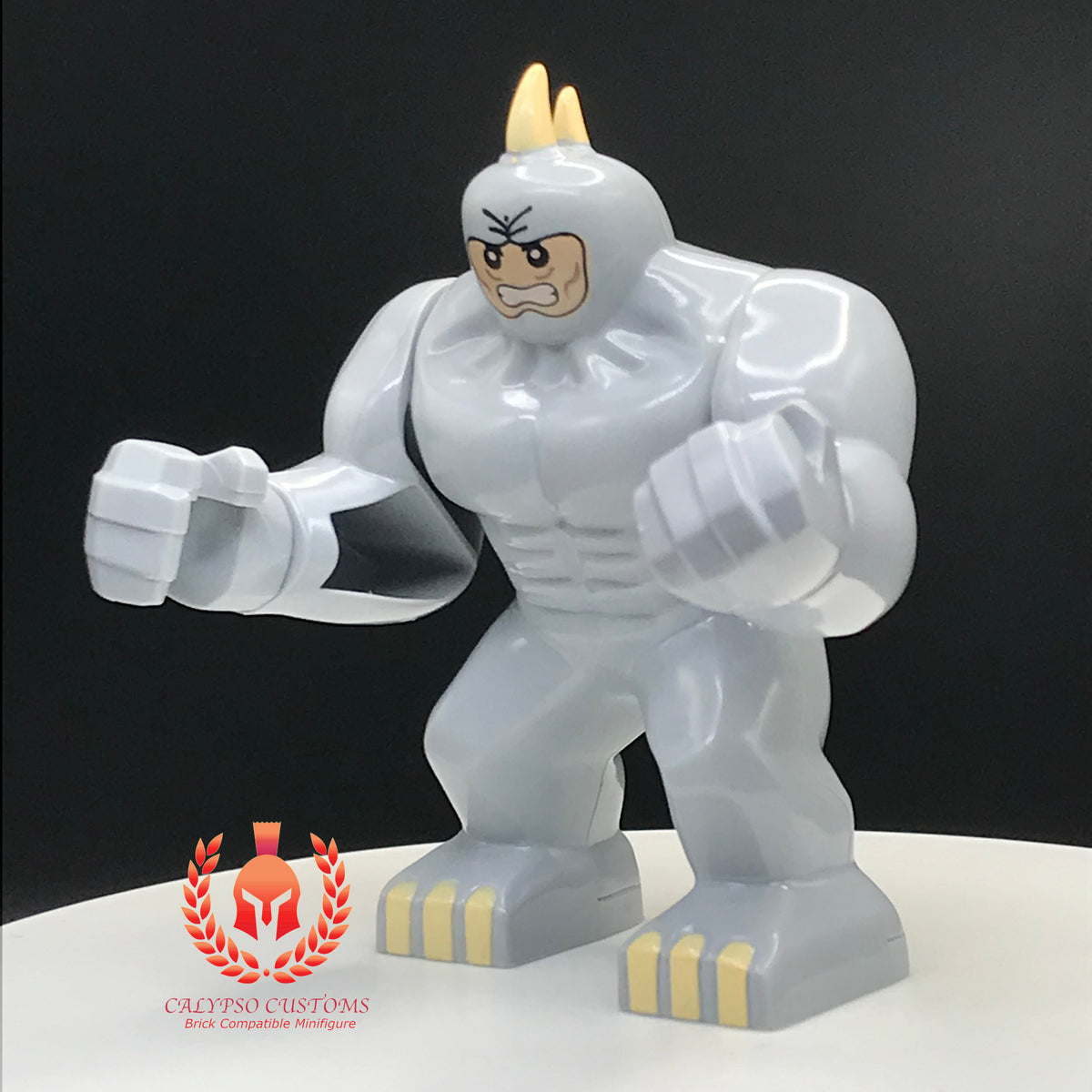 IMG-8011_1200x1200.jpg?v=