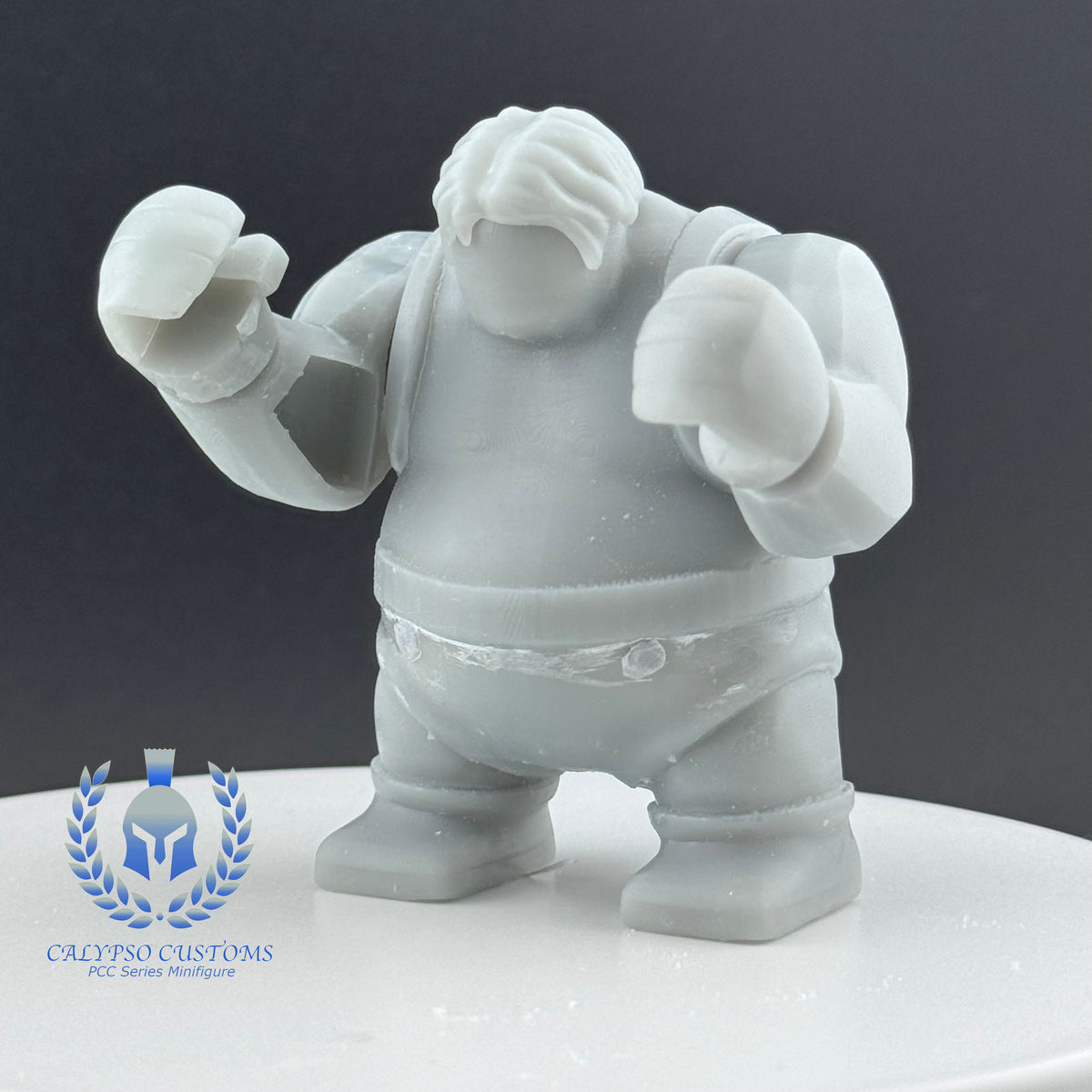 IMG_2406_1200x1200.jpg?v=