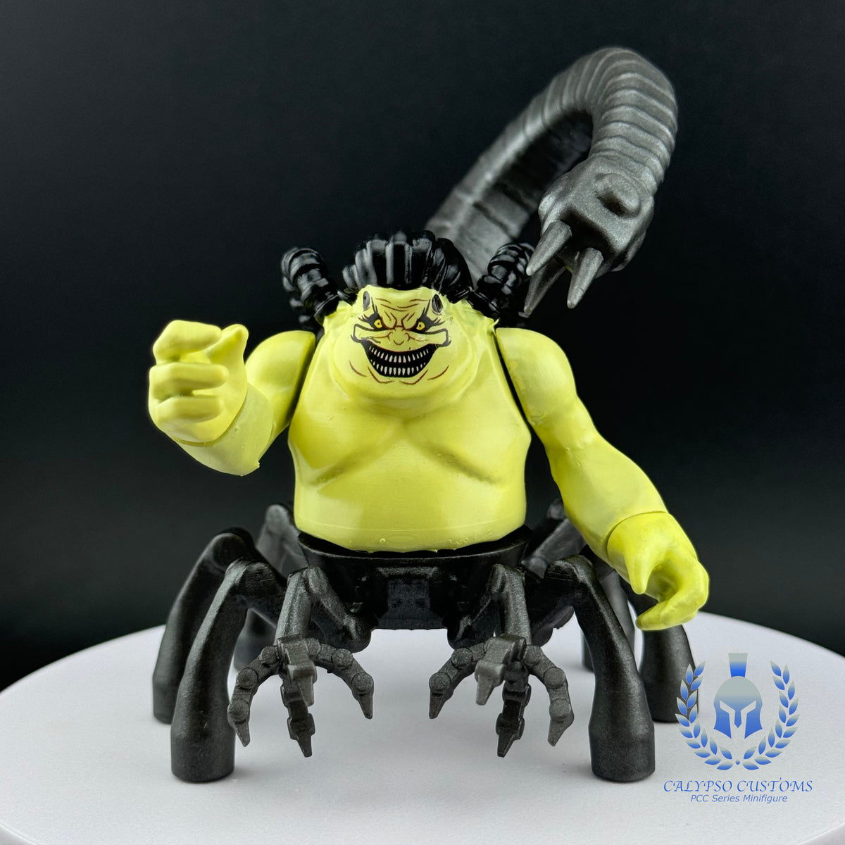 IMG_3231_1200x1200.jpg?v=