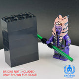 Togruta Jedi Warrior Custom UV Printed PCC Series Miniature