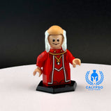 DnD Dungeon Master Custom UV Printed PCC Series Miniature
