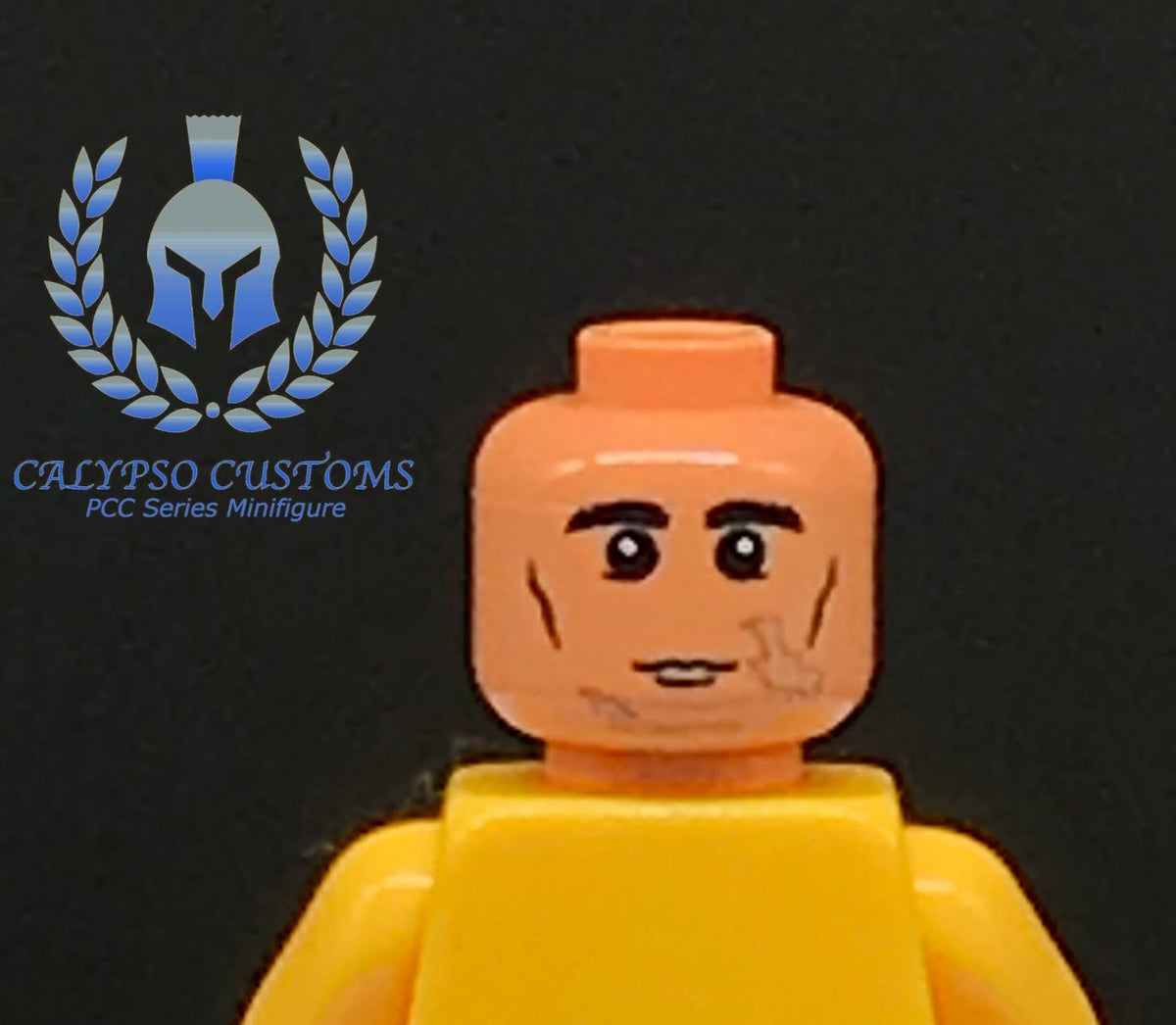Custom Howzer Minifigure Calypso Customs Clone Trooper Howzer V2 Printed Minifigure Head
